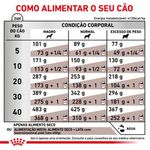 RACAO CAO RC DIET GAST INTEST 2 KG