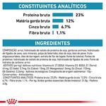 RACAO CAO RC DIET HYPOALERG 10 KG