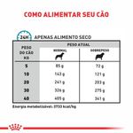 RACAO CAO RC DIET HYPOALERG 10 KG