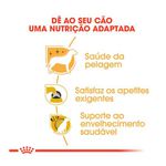 RACAO CAO RC YORKSHIRE ADULTO 2.5 KG