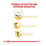 RACAO CAO RC PUG ADULT 2,5 KG