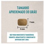 RACAO CAO QUATREE 1 KG LIFE AD R PEQ FRANGO