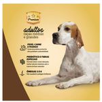 RACAO CAO QUATREE 15KG AD GOURMET R MED E GRANDES