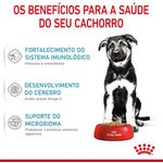 RACAO CAO RC MAXI JUNIOR 15 KG