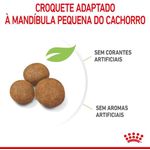 RACAO CAO RC MAXI JUNIOR 15 KG