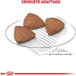 RACAO CAO RC MINI INDOOR ADULT 1 KG