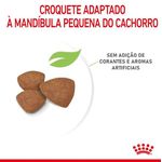RACAO CAO RC MINI INDOOR PUPPY 1 KG
