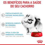 RACAO CAO RC MINI INDOOR PUPPY 1 KG