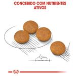 RACAO CAO RC MINI DERMACONFORT 1 KG