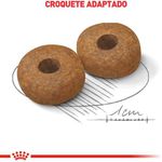 RACAO CAO RC MEDIUM AGEING 10+ 15 KG