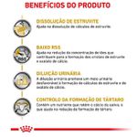RACAO CAO RC DIET URINARY 2 KG SMALL DOG