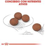 RACAO CAO RC MINI DIGESTIVE CARE 1KG (SENSIBLE)