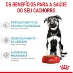 RACAO CAO RC PUPPY 4KG MAXI