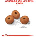 RACAO CAO RC MAXI LIGHT 10 KG