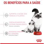RACAO GATO RC BABY CAT 400 G