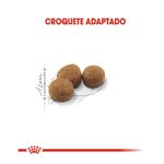 RACAO GATO RC STERILISED 400G