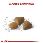 RACAO GATO RC EXIGENT 400 G