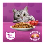 RACAO GATO WHISKAS CARNE 10 KG