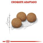 RACAO CAO RC STERILISED AGEING 12+ 400GR