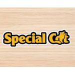 RACAO GATO SPECIAL CAT 10 KG *CARNE* 