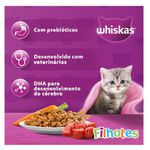RACAO GATO WHISKAS 900G FILHOTE