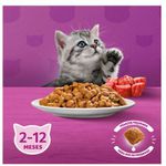 RACAO GATO WHISKAS 900G FILHOTE