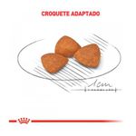 RACAO CAO RC X-SMALL 1KG ADULTO 12+