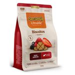 BISCOITO CAO AD FRUTAS VERM SPECIAL DOG 250G