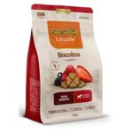 BISCOITO CAO FIL FRUTAS VERM SPECIAL DOG 250G