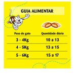 PETISCO GATO DREAMIES SALMAO 40G