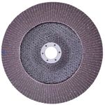 DISCO LIXA FLAP FERRO 115X22 G 60 WORKER