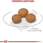 RACAO CAO RC X-SMALL 8+ 1 KG