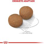 RACAO CAO RC MAXI ADULT 15 KG