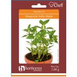 HORTALICA SEMENTE PLATINA MANJERICAO FOLHA MIUDA 2G