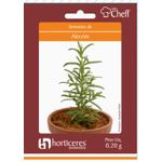 HORTALICA SEMENTE PLATINA ALECRIM 0,2G