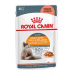 CARNE GATO RC WET HAIR & SKI GRAVY 85 G