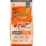 RACAO GATO SPECIAL CAT 10KG SALMAO CAST ULTRALIFE AD