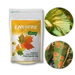 ENXOFRE DIMY 30G