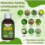 GRAMIX 100ML HERBICIDA SELETIVO
