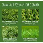 GRAMIX 100ML HERBICIDA SELETIVO