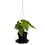 CABO ACO VASO 3 GANCHOS 55CM DOURADO