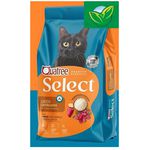RACAO GATO QUATREE 3KG AD SELECT CAST CARNE