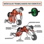 Roda Exercícios Abdominal Funcional Rolo Fitness Treino - Verde