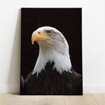 Águia 02 - Quadro com Moldura - Preto, Marrom, Rústica ou Branca