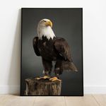 Aguia 01 - Quadro com Moldura - Preto, Marrom, Rústica ou Branca