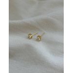 Brinco Ponto de Luz Clássico Banhado em Ouro 18k