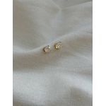 Brinco Ponto de Luz Clássico Banhado em Ouro 18k