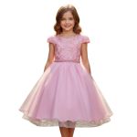 Vestido Juvenil Princesa Rosa Bebe Bordado Casamento Batizado Curto 