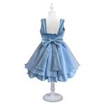 Vestido Frozen Infantil Princesa Capa Removível