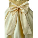 Vestido Infantil Amarelo Curto Elegante Com Aplique Flores + Tiara